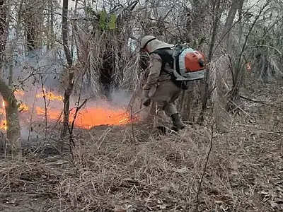 Plano contra fogo no Pantanal prevê R$ 22 milhões e inclui de contrato exclusivo de aeronave para PF