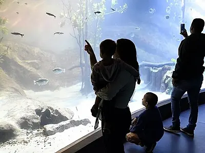 Bioparque Pantanal define horário de visitas em dias de jogos da Seleção Brasileira