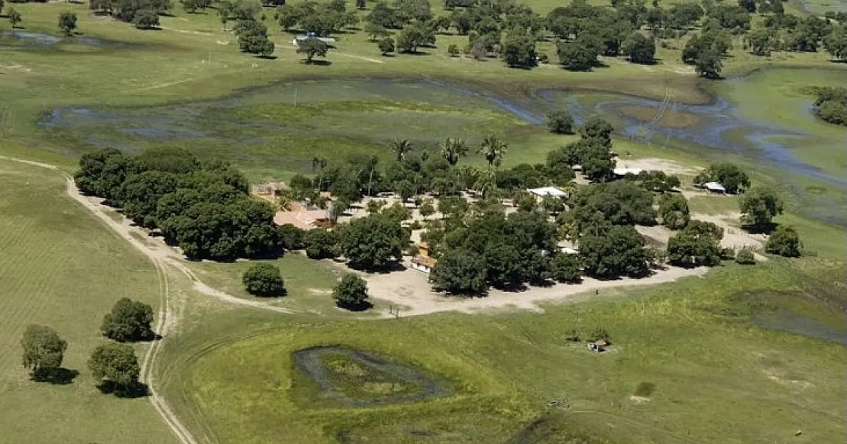 Dia do Pantanal: negócios no bioma atuam para gerar renda e proteger o território