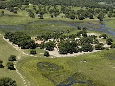 Dia do Pantanal: negócios no bioma atuam para gerar renda e proteger o território