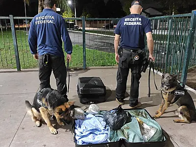 Homem é preso na rodoviária com 16,6 kg de droga na bagagem