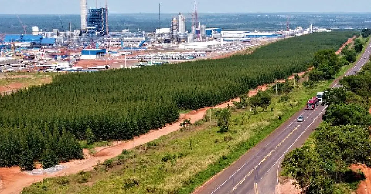 Ranking de liberdade econômica coloca MS entre os três estados com melhor ambiente para negócios
