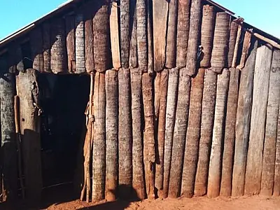 Indígenas de MS eram recrutados para trabalhar em lavouras de maconha no Paraguai