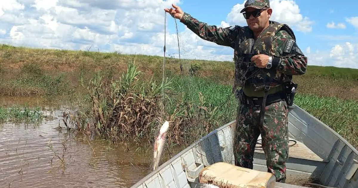 Nível elevado de peixes faz PMA intensificar fiscalização no rio Dourados