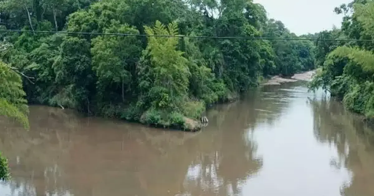 Ong identifica contaminantes de alto risco em bacia do Pantanal