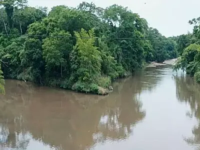 Ong identifica contaminantes de alto risco em bacia do Pantanal