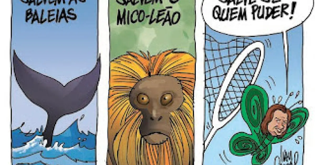 A flor da pele