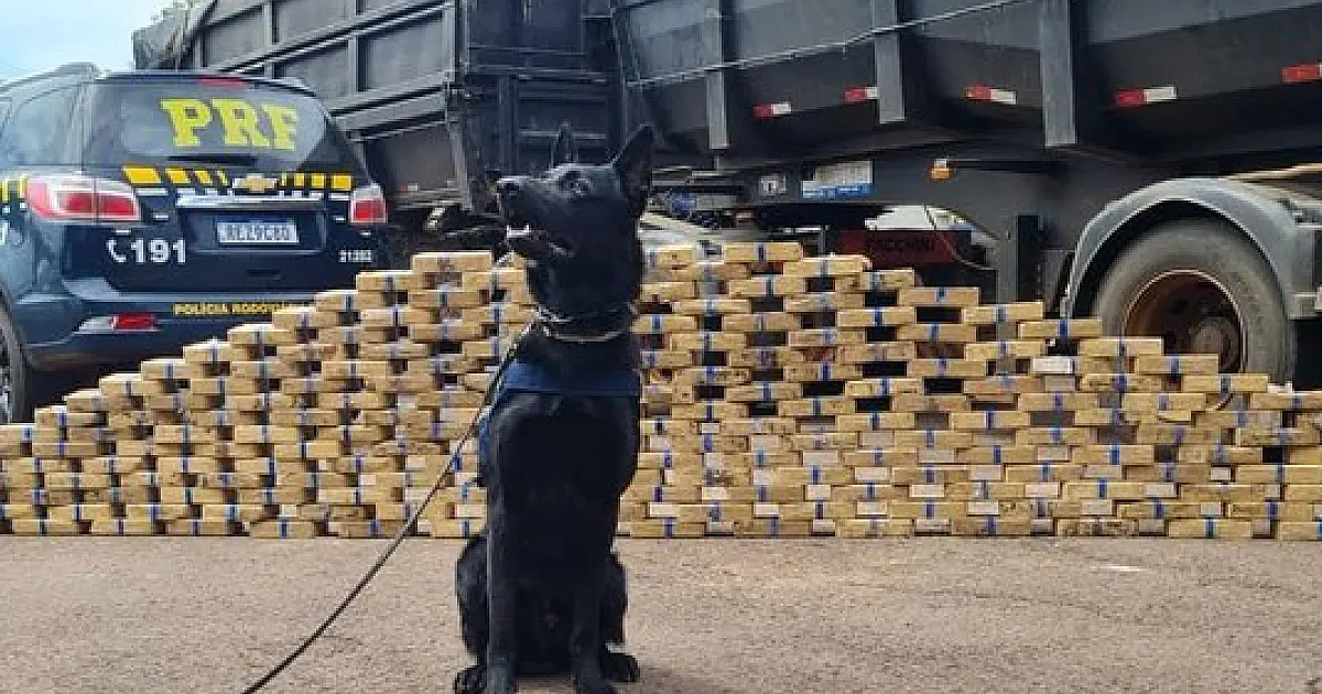 PRF apreende 210 Kg de pasta base de cocaína em Campo Grande