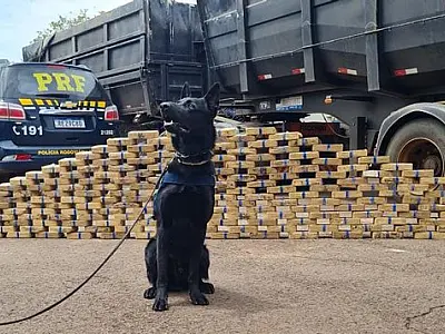 PRF apreende 210 Kg de pasta base de cocaína em Campo Grande