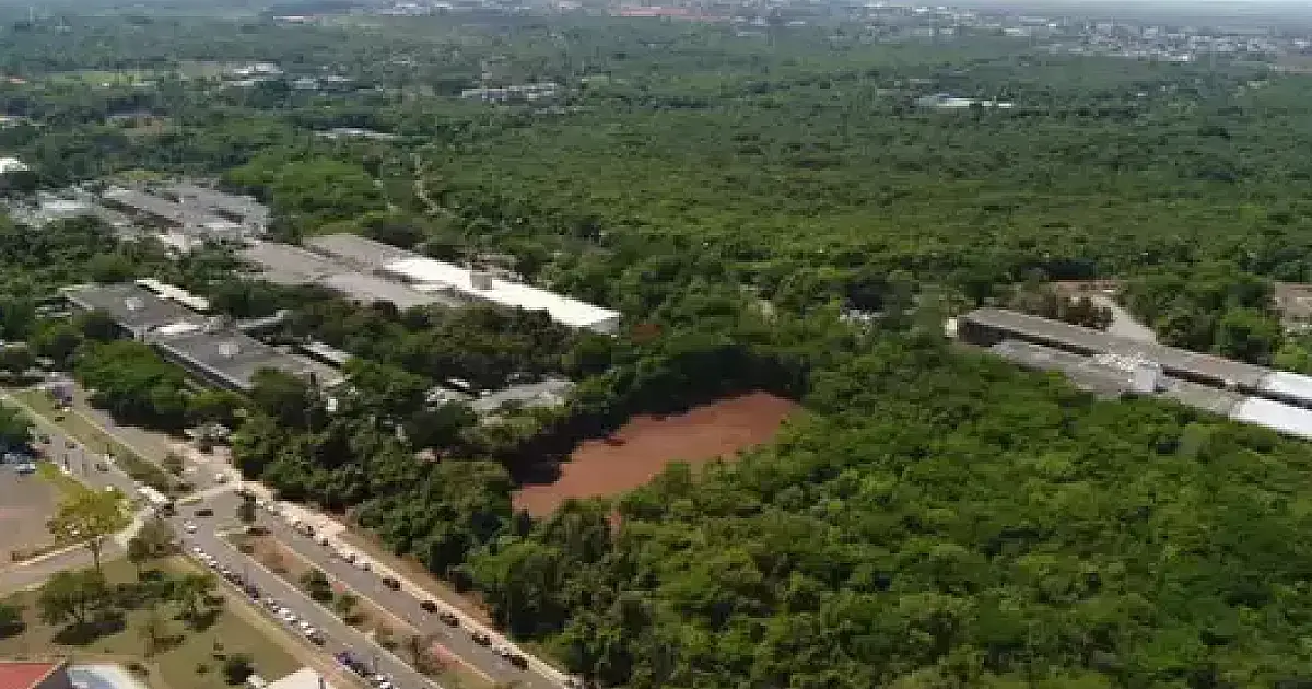 Juiz mantém proibido o desmate no Parque dos Poderes
