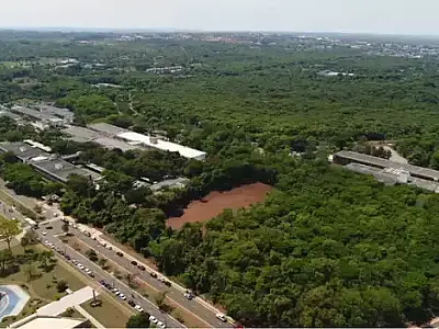Juiz mantém proibido o desmate no Parque dos Poderes