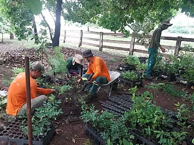 Brigadistas atuam para recuperar áreas atingidas pelo fogo na Serra do Amolar