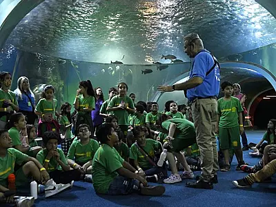 Agendamento para visitas escolares no Bioparque Pantanal tem início nesta quinta-feira