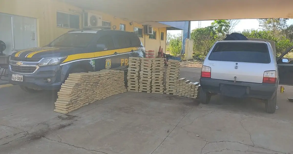 Mais de meia tonelada de maconha é apreendida na BR 262; droga seguia para SP