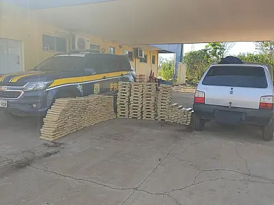 Mais de meia tonelada de maconha é apreendida na BR 262; droga seguia para SP