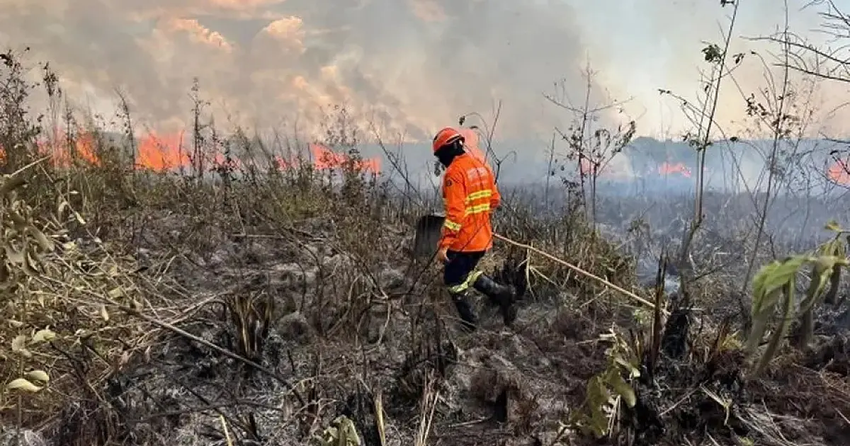 Incêndio queimou área de 1.825 hectares em Bonito