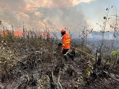 Incêndio queimou área de 1.825 hectares em Bonito