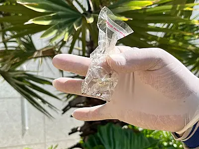 MS registra 8.384 casos confirmados de dengue