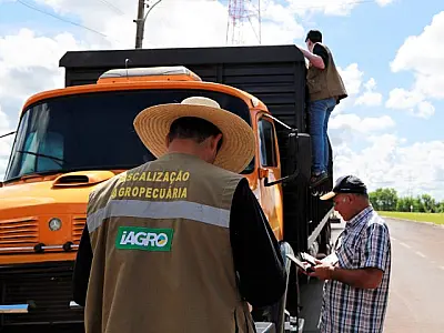 Iagro define normas para controle do 'Mormo' e transporte de equídeos no MS