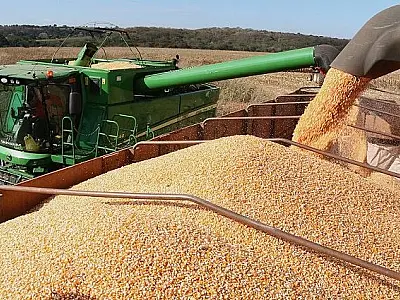 PIB do Mato Grosso do Sul deve crescer 2,4% em 2024
