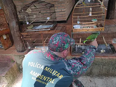 Multas por criação ilegal de animais silvestres somou R$ 73,5 mil em 2022