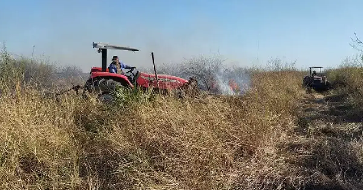 Estado adiciona regras sobre aceiro a decreto de emergência por incêndios