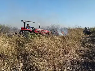 Estado adiciona regras sobre aceiro a decreto de emergência por incêndios