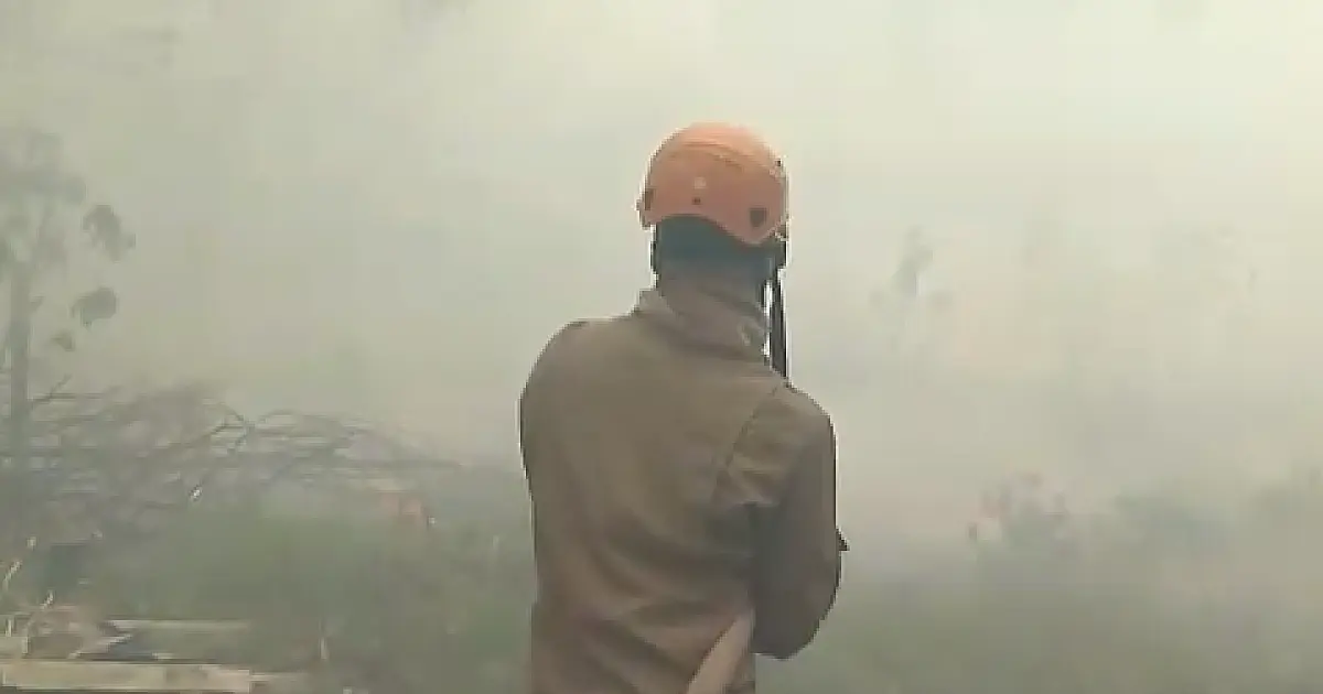 Filme sobre incêndios no Pantanal expõe urgência do homem se reconectar com a natureza