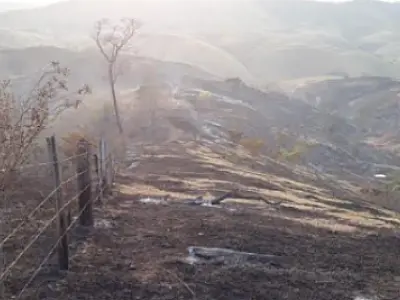 Assentamento é multado em R$ 60 mil por incêndio no Pantanal