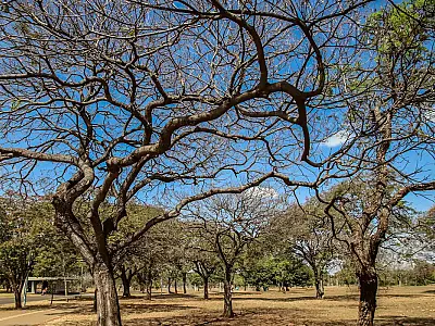 Inmet alerta sobre baixa umidade no Centro-Oeste e no Tocantins
