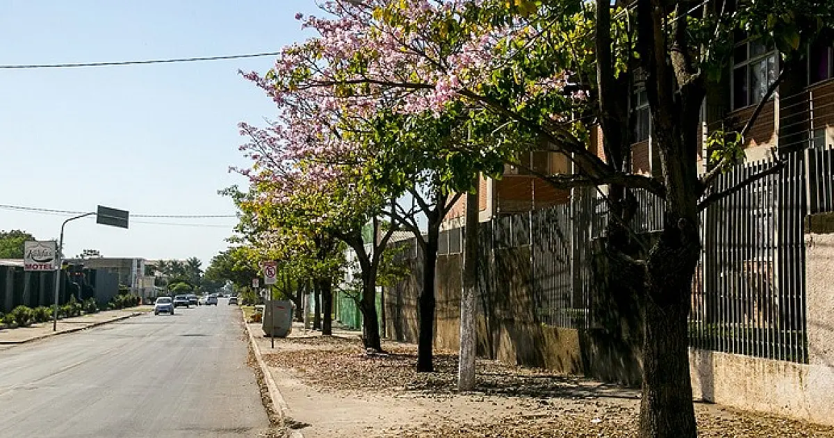 Agems promove encontro em Corumbá para discutir árvores próximas à rede elétrica