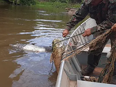 Operação Piracema encerra com R$ 53 mil em multas aplicadas