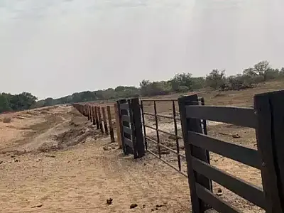 Agesul terá que pagar quase R$ 1 milhão a proprietário de fazenda no Pantanal