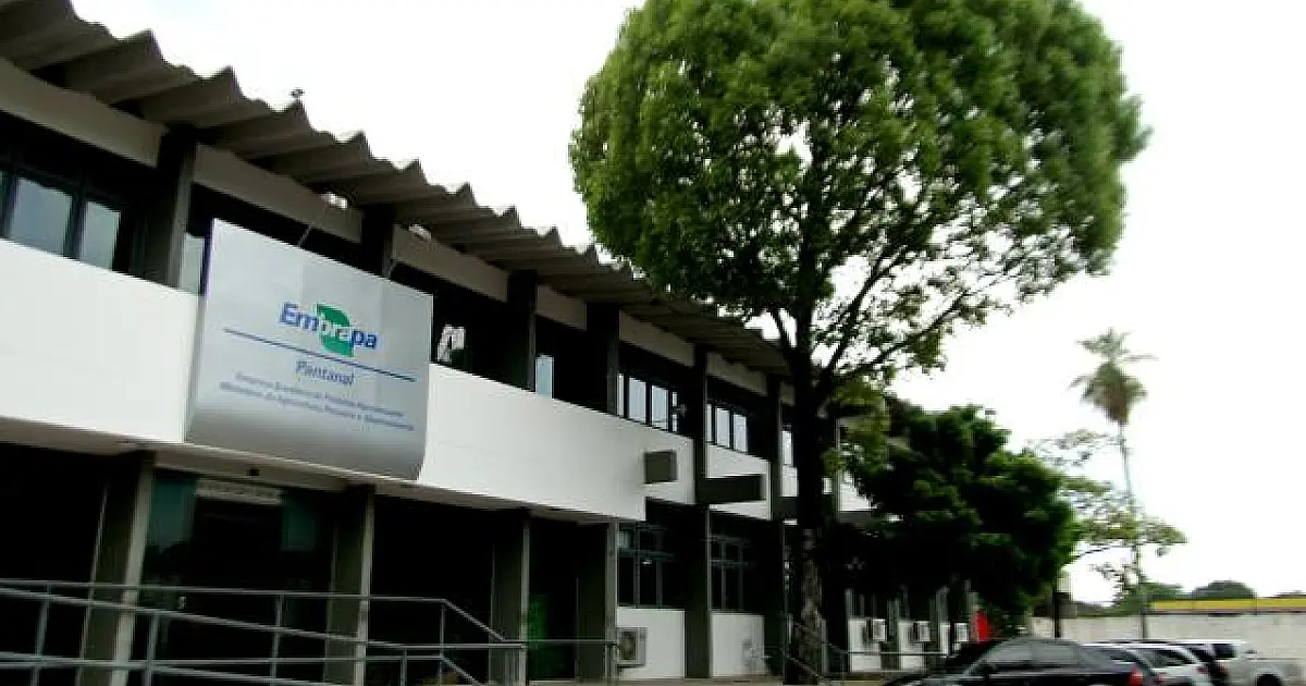 Edital da Embrapa traz 1.027 vagas com salários de até R$ 12,8 mil