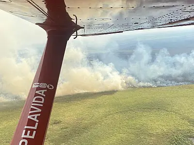 Incêndio consome vegetação na Ilha do Nabileque