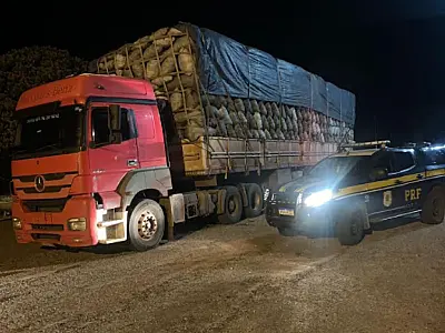 Homem recebe multa de R$ 33 mil por transporte de carvão ilegal apreendido pela PRF