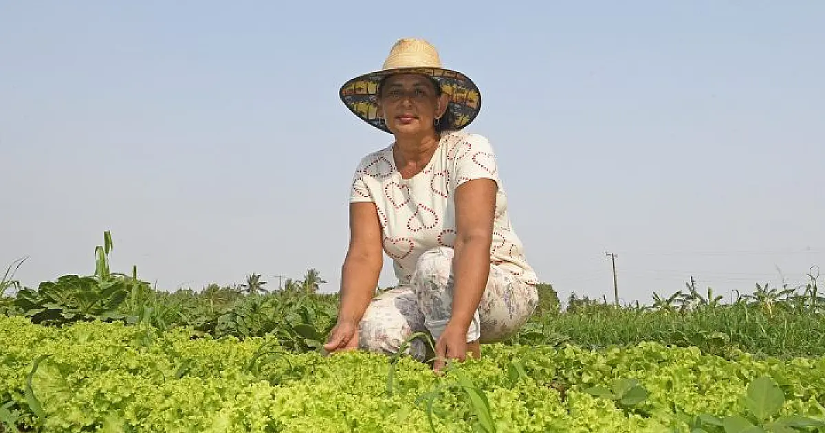 Projeto incentiva a agricultura familiar e fornece alimentos saudáveis para escolas estaduais
