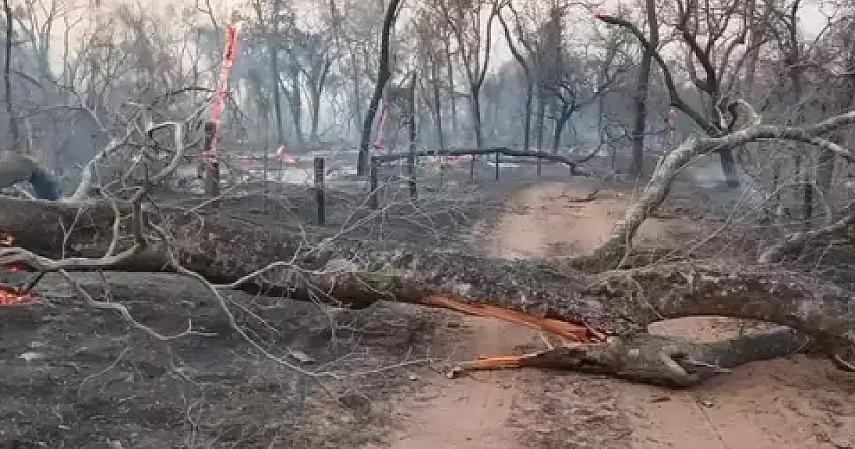 Brasil envia mais 26 bombeiros de três estados para combate ao fogo na Bolívia