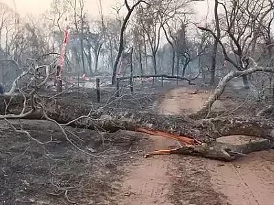 Brasil envia mais 26 bombeiros de três estados para combate ao fogo na Bolívia