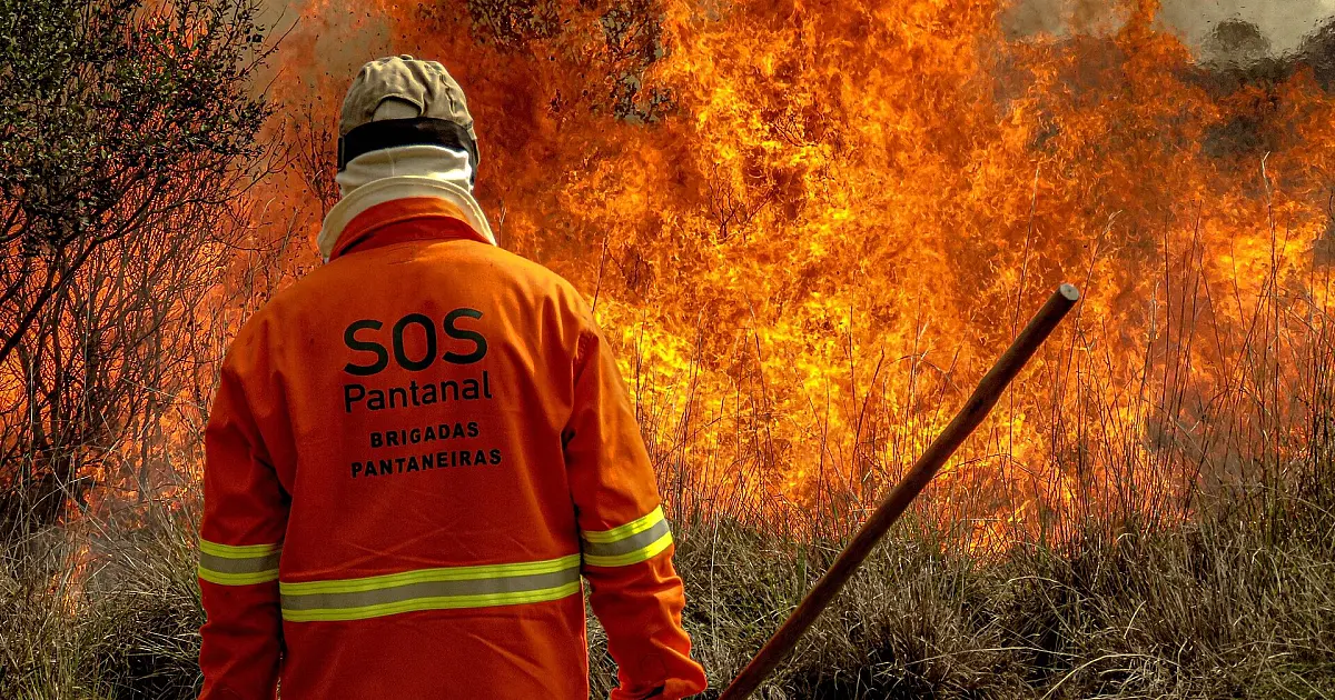 SOS Pantanal lança campanha de doações para as Brigadas Pantaneiras