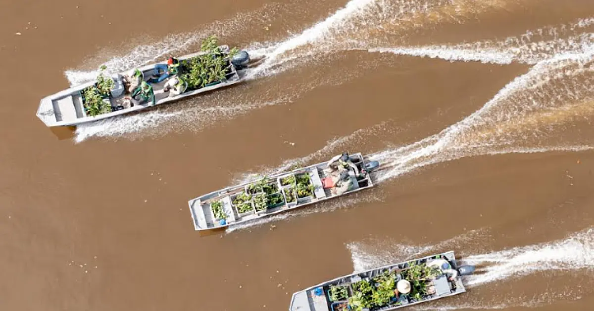 Exposição exibe registros do fogo e do trabalho de recuperação no Pantanal
