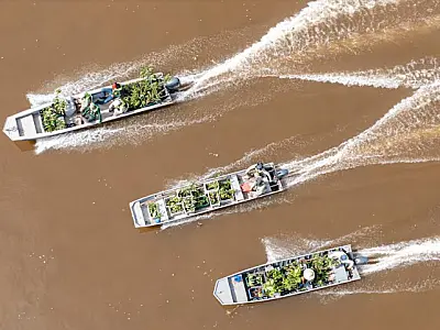 Exposição exibe registros do fogo e do trabalho de recuperação no Pantanal