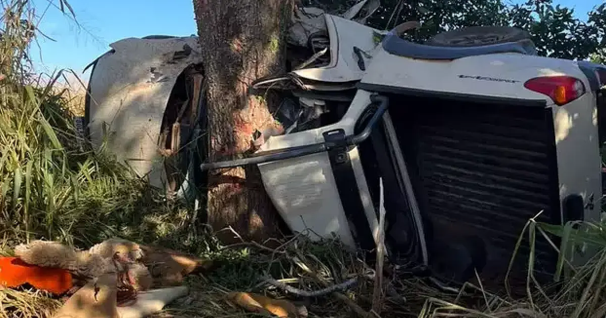 Caminhonete colide com árvore e deixa três mortos em estrada vicinal