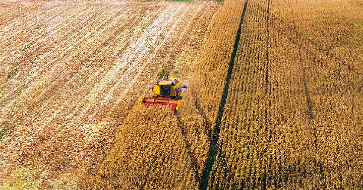 Balança comercial de Mato Grosso do Sul tem superávit com saldo de US$ 2,9 bilhões no ano