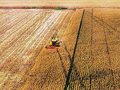 Balança comercial de Mato Grosso do Sul tem superávit com saldo de US$ 2,9 bilhões no ano