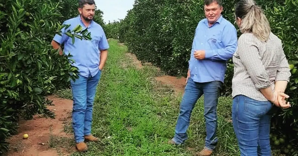 MS prepara Plano Estadual para ampliar a produção comercial de frutas