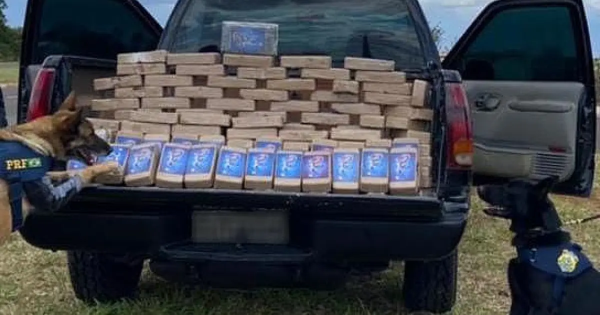 PRF e DENAR apreendem 126 Kg de pasta base de cocaína na BR 262