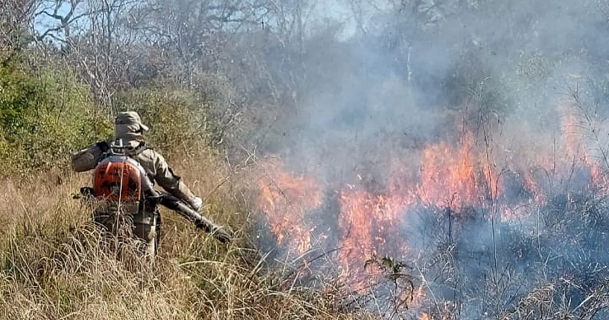 Portaria federal reconhece emergência em municípios do Pantanal de MS