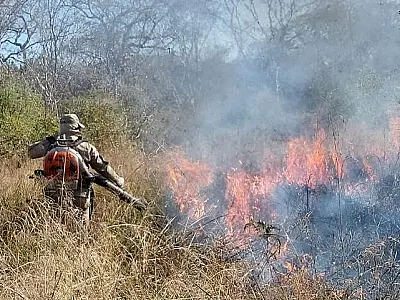 Portaria federal reconhece emergência em municípios do Pantanal de MS