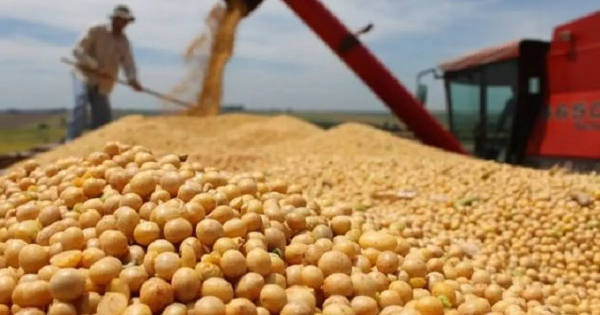 297 mil caminhões serão necessários para escoar produção de soja em MS